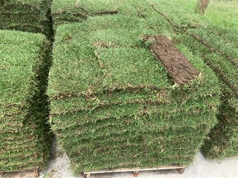 how much is a pallet of grass in san antonio